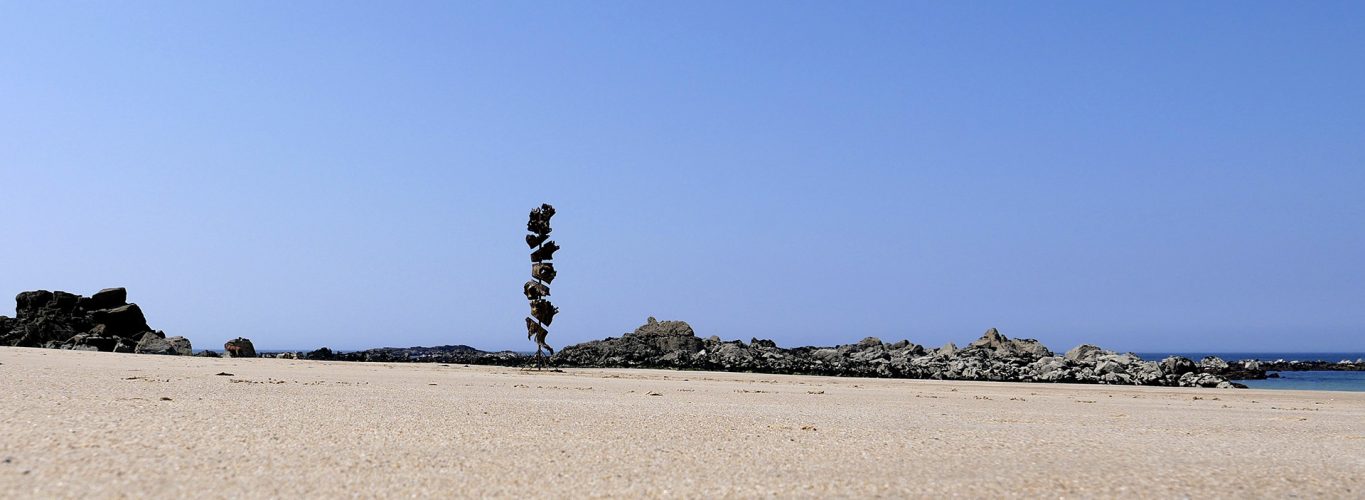 Sculpture-l-arbre-augmenté-cov2