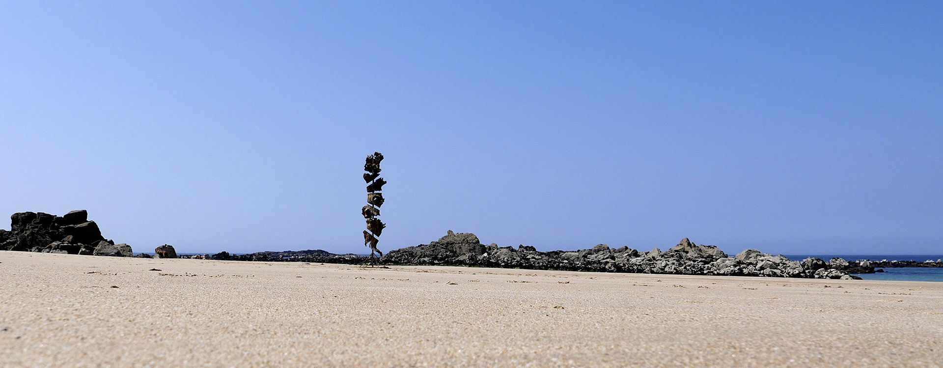 Sculpture-l-arbre-augmenté-cov2