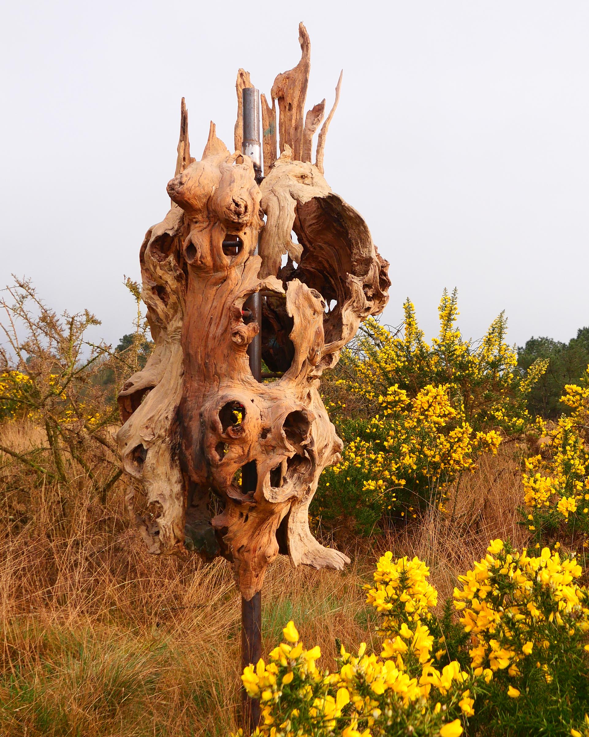 Sculpture Trogne